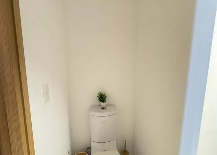 Aura 41-un Refugio Sobre Reforma Apartment